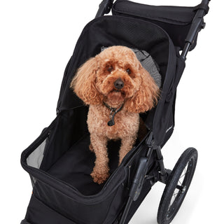 Palster Explorer All Terrain Dog Stroller - Midnight Black