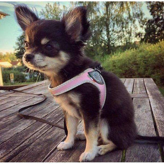The Easy Fit Classic Harness With Adjustable Strap By Tre Ponti - Pink