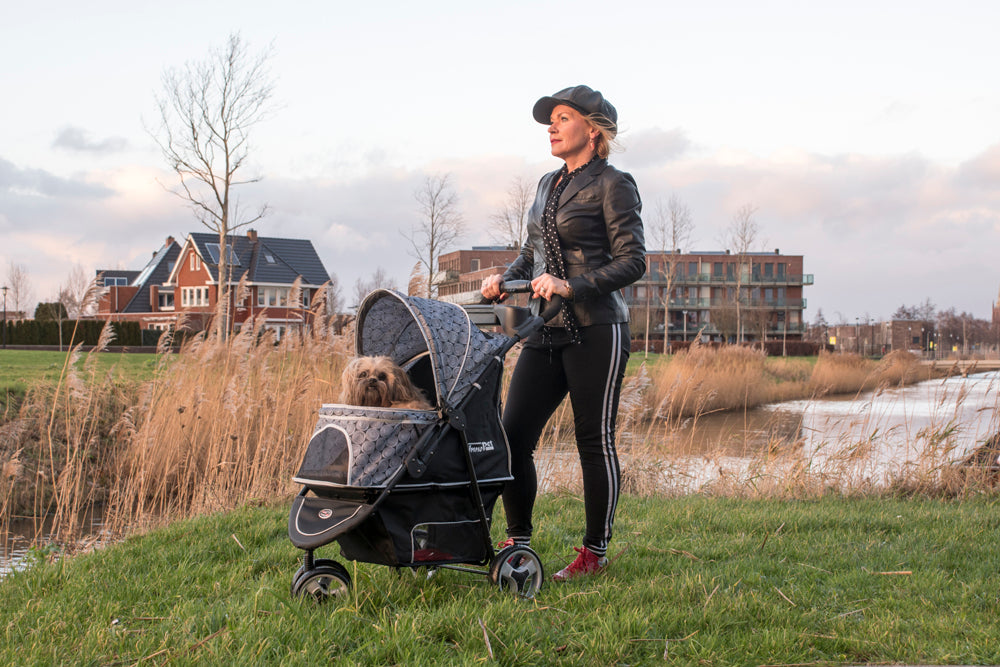 Innopet Allure Buggy Dog Stroller - Onyx – doggy & moggie