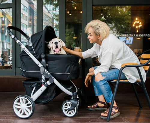 Piccolocane Tanto2 Luxury Dog Stroller, Detachable Pet Carrier & Free Rain Cover