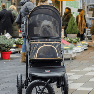 Innopet Adventure Buggy Dog Stroller