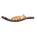 The CHILL DeLuxe Cat Shelf Perch by Cosy & Dozy – Wenge (Multiple Cushion Colours Available)