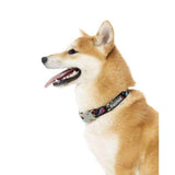 The Dog Collar By FuzzYard - Bel Air
