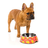 The Easy Feeder Dog Bowl By FuzzYard - Hey Esse