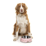 The Easy Feeder Dog Bowl By FuzzYard - Sushiba