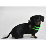 The Easy Fit Breathable Mesh Harness With Adjustable Girth By Tre Ponti - Fluo Green