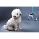 The Easy Fit Classic Harness With Adjustable Strap By Tre Ponti - Light Blue