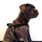 The Primo Plus Dog Harness With Handle By Tre Ponti - Green Camo