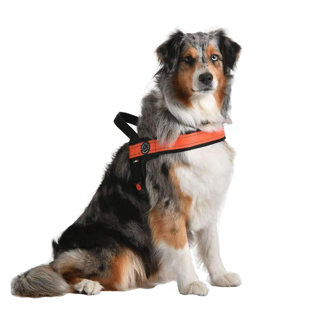The Primo Plus Dog Harness With Handle By Tre Ponti - Orange