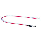 The Reflective Trim Dog Lead By Tre Ponti - Red
